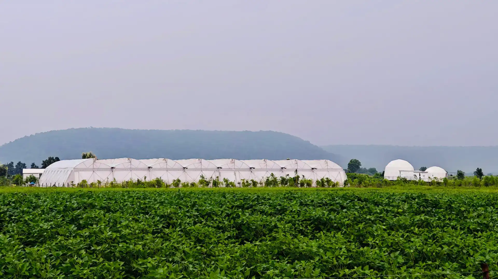 Scenic landscape surrounding Vanyadome agro glamping retreat